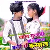 About Lal Gulabi Tor Rup Ta Kore Che Kamal Song