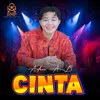 Cinta