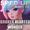 About Broken Hearted Wonder Song