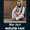 Mor Jani