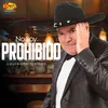 About No Soy Prohibido Song