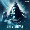 Shiv Shiva