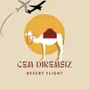 About Desert Flight Song