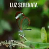 Luz Serenata