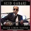 About Felek Limin Xayine Song