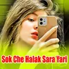 Sok Che Halak Sara Yari Kri