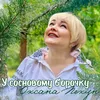 About У сосновому борочку Song