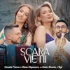 Scara vieții