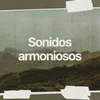 Sonidos armoniosos