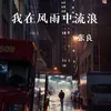 我在风雨中流浪