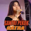 About Santri Pekok Song