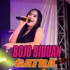 About Bojo Biduan Song