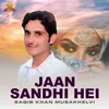 Jaan Sandhi Hei
