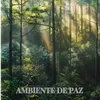 Ambiente de paz