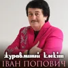 About Журавлиний клекіт Song