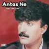 Antas Ne