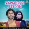 About Sohna Kehri Jha Dain Song