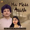 About Hai Meda Allah Song