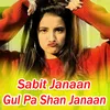 About Gul Pa Shan Janaan Song