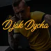 About D jak DYCHA Song