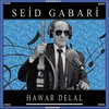 About Hawar Delal Song