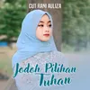 About Jodoh Pilihan Tuhan Song