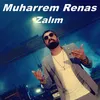 About Zalım Song