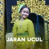 Jaran Ucul