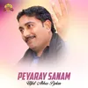 About Peyaray Sanam Song