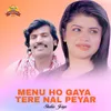 About Menu Ho Gaya Tere Nal Peyar Song