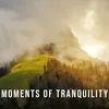 Moments of Tranquility