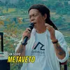 About Metaveto Song