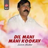 About Dil Mahi Mahi Kookay Song