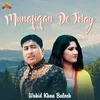 About Munafiqan De Tolay Song