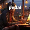 pedal