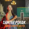 About Santri Pekok Song