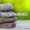 Healing Harmonies