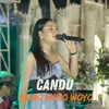 About Candu Song