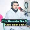 Che Bewafa Na V