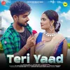 About Teri Yaad Song