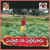 About Pachani Na Palletooru Song