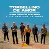 About Torbellino De Amor Song