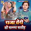 About Raja Teri Do Palla Patod Song