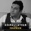 About Fazlaymışım Song