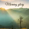 Morning glory