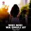 About Niki Niki Wa Ghuli Ay Song