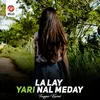 About La Lay Yari Nal Meday Song