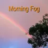 Morning Fog