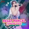 Pegat Pancal