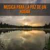 Musica para la paz de un hogar